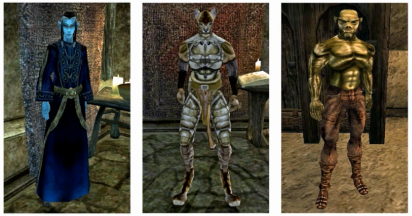 morrowind-symmetry