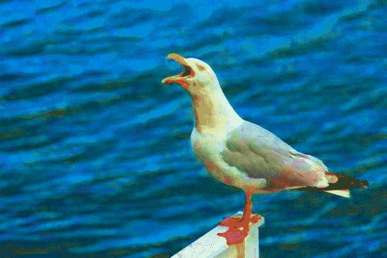 an oversaturated and paletized photo of a seagull squawking with the bright blue backdrop of the ocean